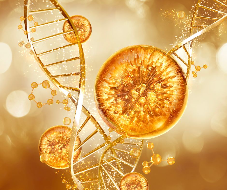 Do Collagen Supplements Really Work?